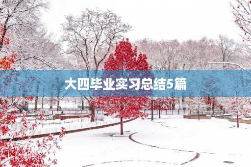 大四毕业实习总结5篇 大四毕业实习总结5篇