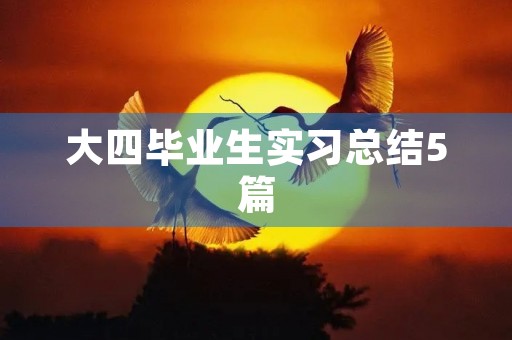 大四毕业生实习总结5篇 大四毕业生实习总结5篇