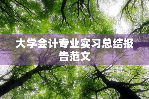 大学会计专业实习总结报告范文
