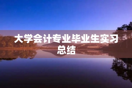 大学会计专业毕业生实习总结