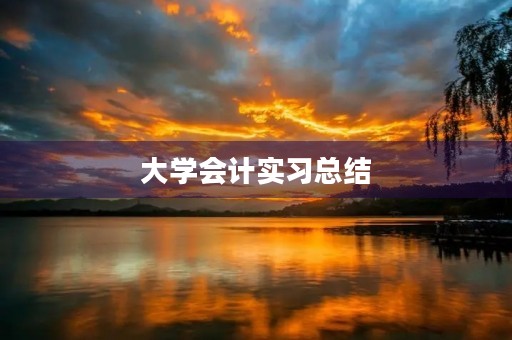 大学会计实习总结 大学会计实习总结