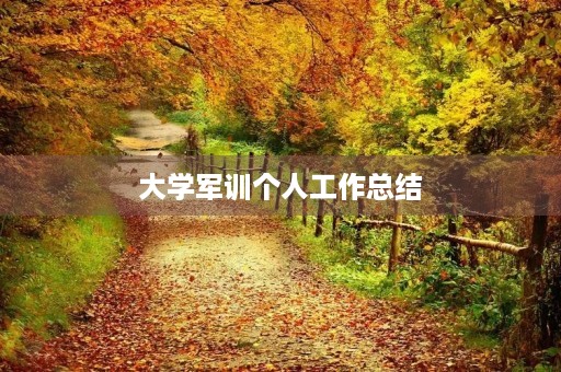 大学军训个人工作总结