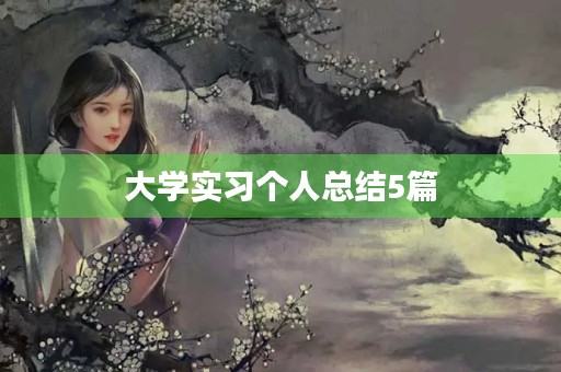 大学实习个人总结5篇