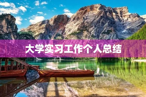 大学实习工作个人总结 大学实习工作个人总结