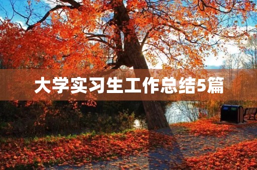 大学实习生工作总结5篇 大学实习生工作总结5篇