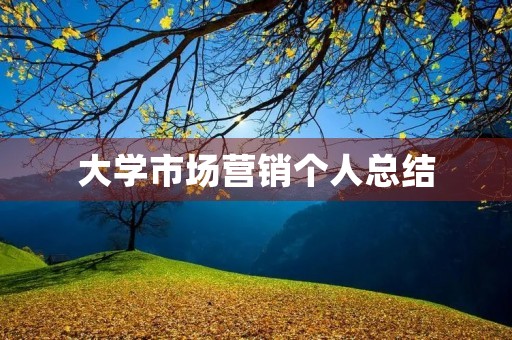 大学市场营销个人总结