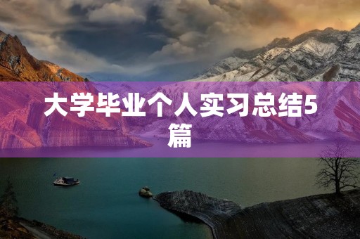 大学毕业个人实习总结5篇 大学毕业个人实习总结5篇