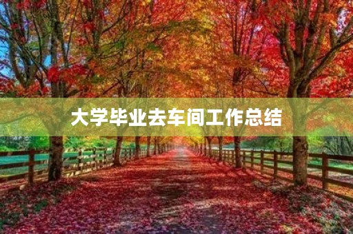 大学毕业去车间工作总结