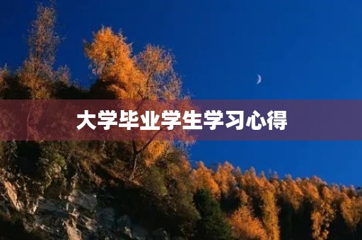 大学毕业学生学习心得