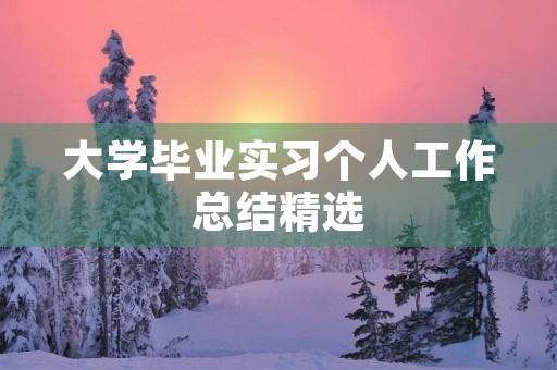 大学毕业实习个人工作总结精选(10篇) 大学毕业实习个人工作总结精选(10篇)