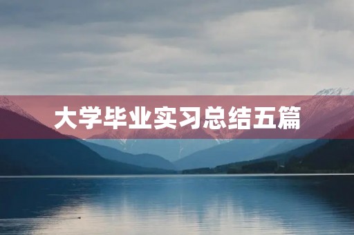 大学毕业实习总结五篇