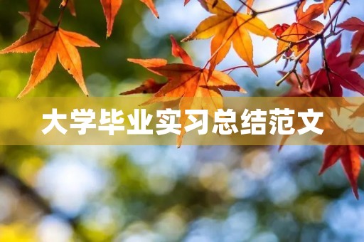 大学毕业实习总结范文 大学毕业实习总结范文