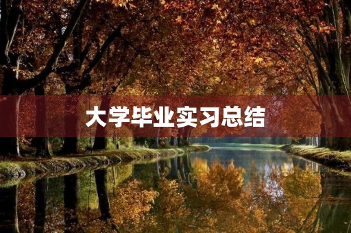 大学毕业实习总结(7篇) 大学毕业实习总结(7篇)