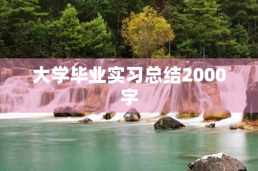大学毕业实习总结2000字