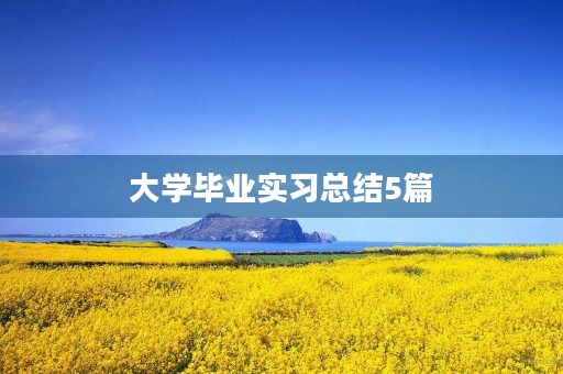 大学毕业实习总结5篇 大学毕业实习总结5篇