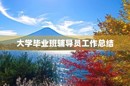 大学毕业班辅导员工作总结 大学毕业班辅导员工作总结