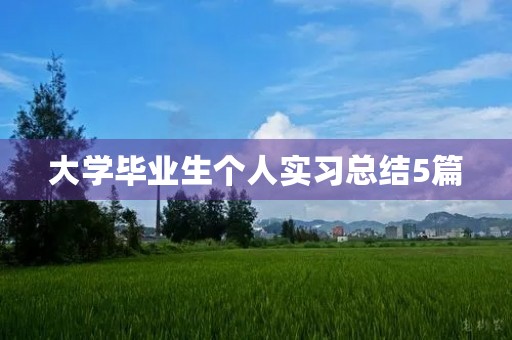 大学毕业生个人实习总结5篇