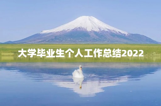 大学毕业生个人工作总结2022