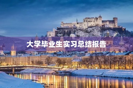 大学毕业生实习总结报告