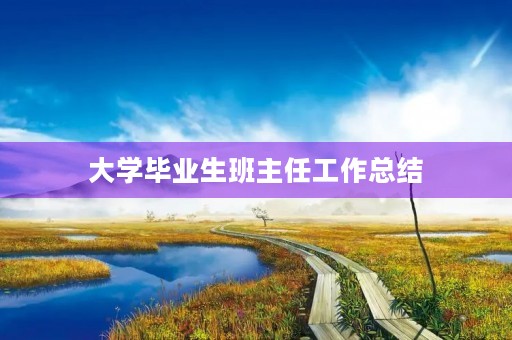 大学毕业生班主任工作总结