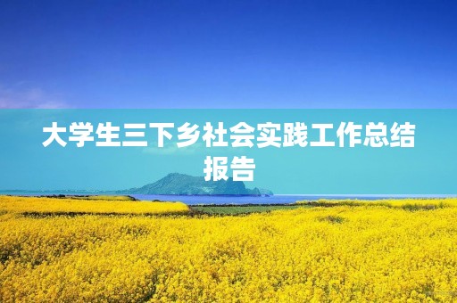 大学生三下乡社会实践工作总结报告