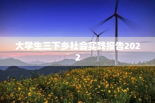 大学生三下乡社会实践报告2022 大学生三下乡社会实践报告2022