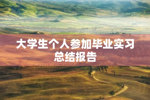 大学生个人参加毕业实习总结报告