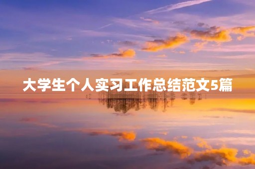 大学生个人实习工作总结范文5篇