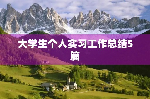大学生个人实习工作总结5篇 大学生个人实习工作总结5篇