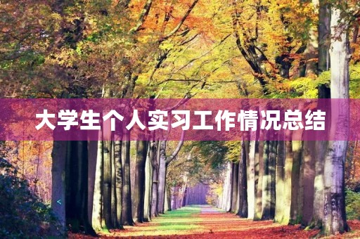 大学生个人实习工作情况总结