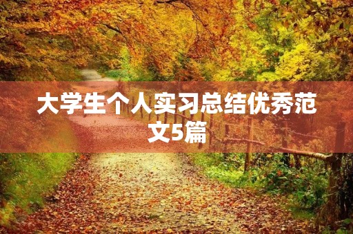 大学生个人实习总结优秀范文5篇