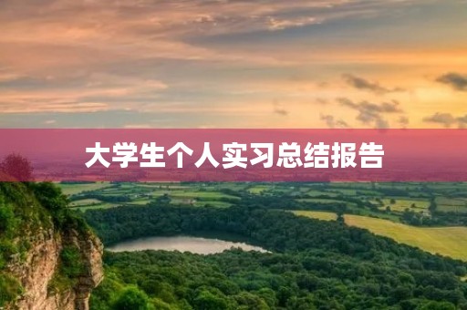大学生个人实习总结报告