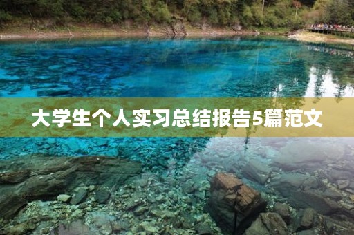 大学生个人实习总结报告5篇范文