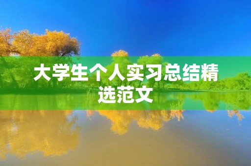 大学生个人实习总结精选范文