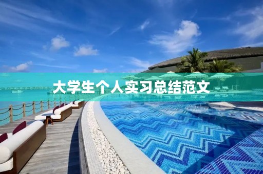 大学生个人实习总结范文