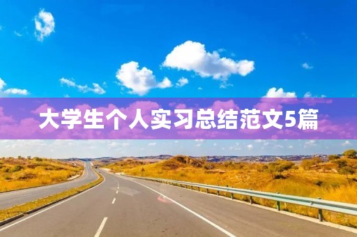 大学生个人实习总结范文5篇