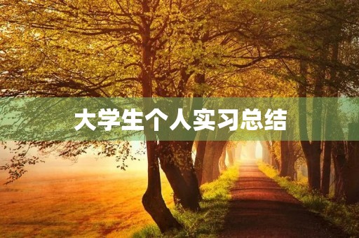 大学生个人实习总结（5篇）