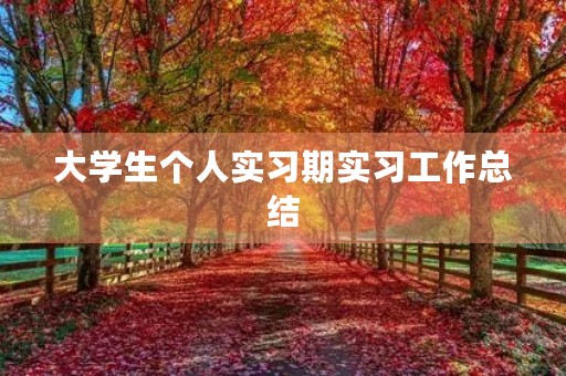 大学生个人实习期实习工作总结