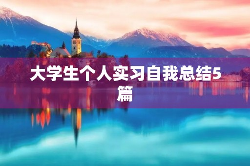 大学生个人实习自我总结5篇