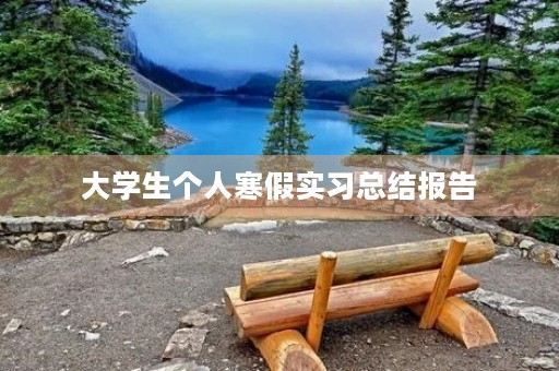 大学生个人寒假实习总结报告