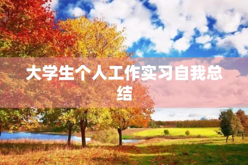 大学生个人工作实习自我总结