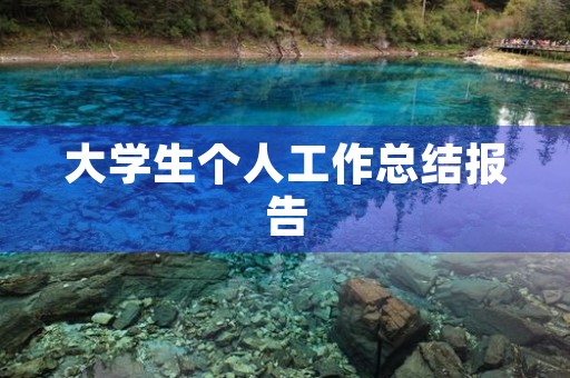 大学生个人工作总结报告