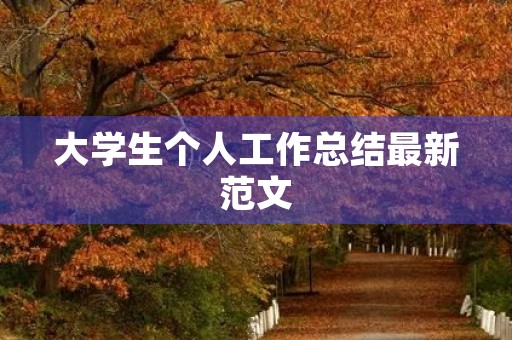 大学生个人工作总结最新范文 大学生个人工作总结最新范文