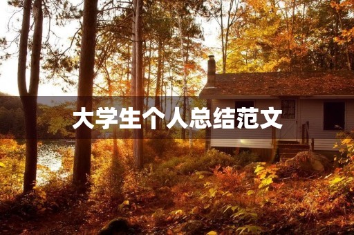 大学生个人总结范文