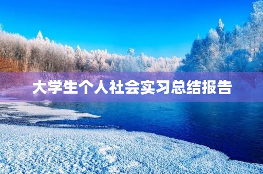 大学生个人社会实习总结报告 大学生个人社会实习总结报告