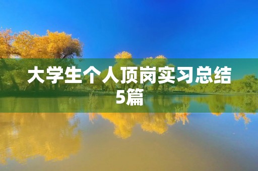 大学生个人顶岗实习总结5篇