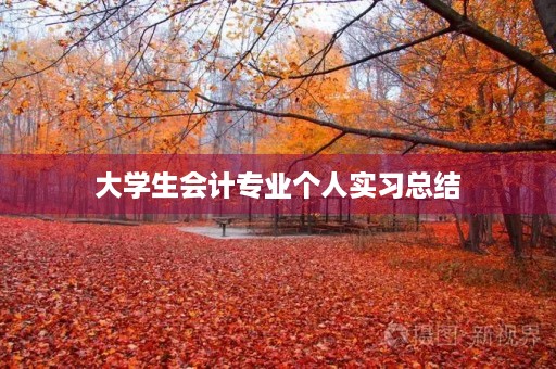 大学生会计专业个人实习总结
