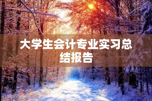 大学生会计专业实习总结报告