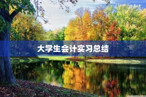 大学生会计实习总结 大学生会计实习总结