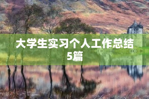 大学生实习个人工作总结5篇